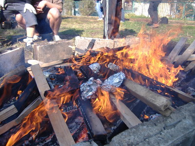 �Ă����p�[�e�B�B