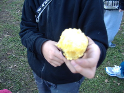 �Ă����p�[�e�B�C