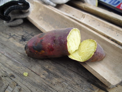 �Ă����p�[�e�B�B-3